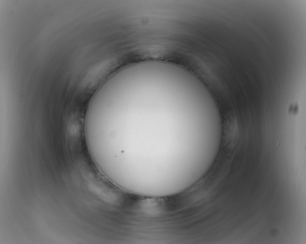 X0000112210126200908141507