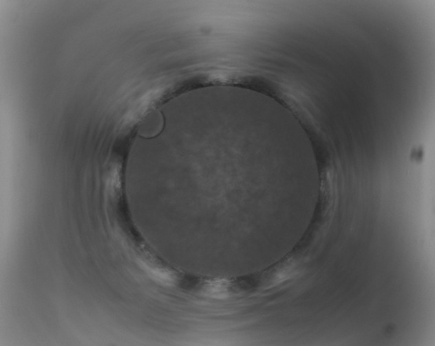 X0000112210127200908141507