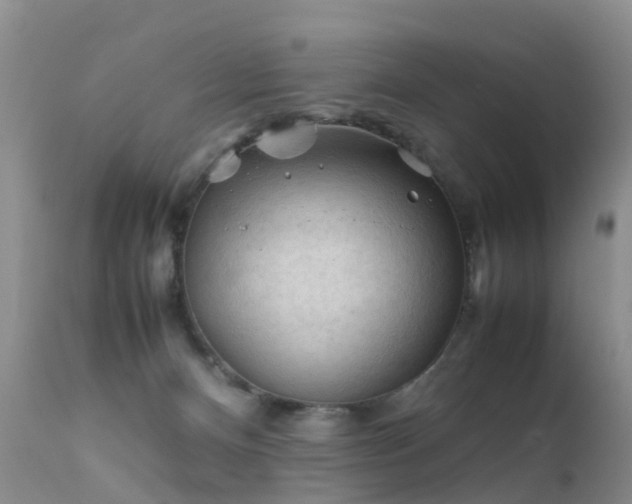 X0000112210128200908141507