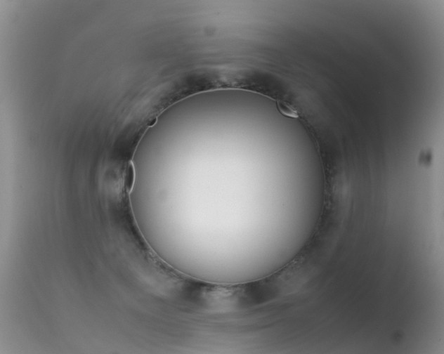 X0000112210129200908141507