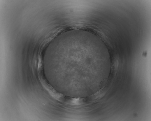 X0000112210130200908141507