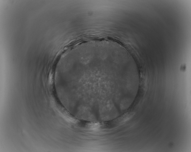 X0000112210131200908141507