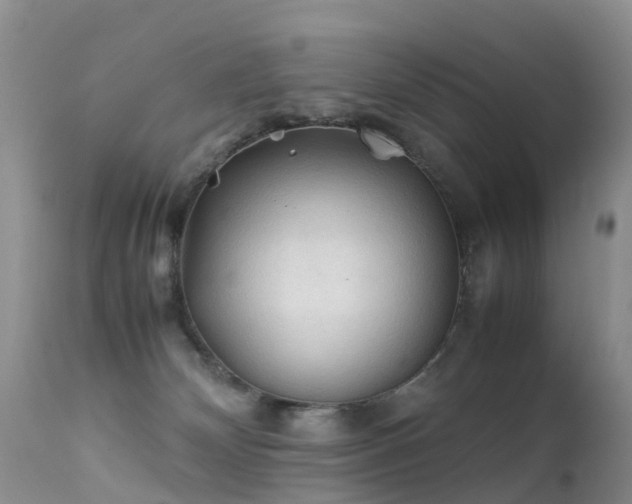 X0000112210132200908141507