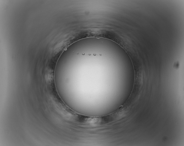 X0000112210135200908141507