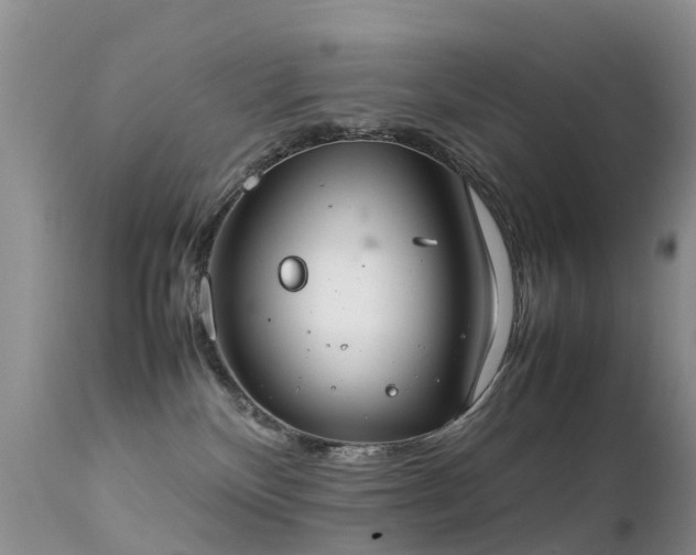 X0000112210136200908141507