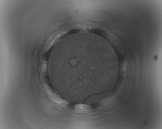 X0000112210137200908141507