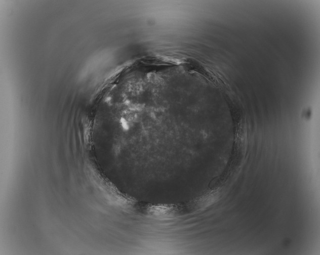 X0000112210139200908141507