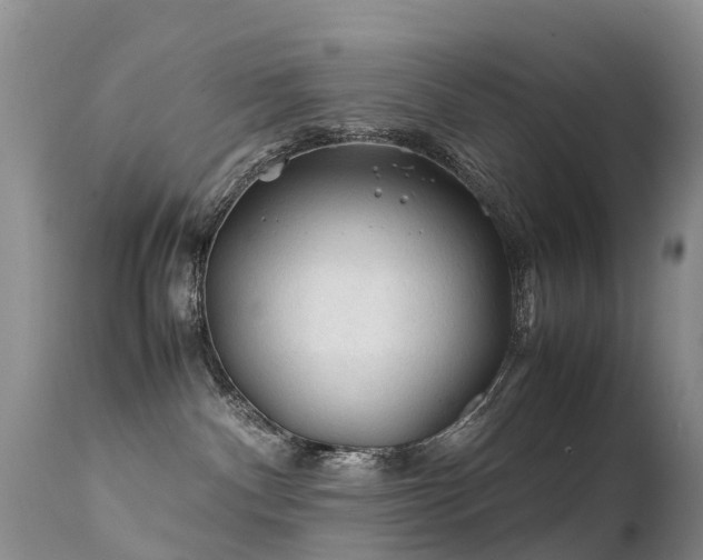 X0000112210140200908141507