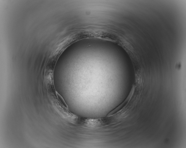 X0000112210141200908141507