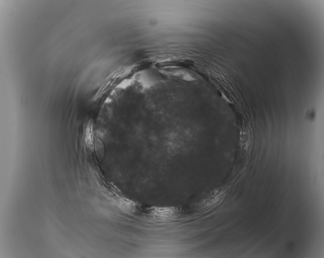 X0000112210143200908141507