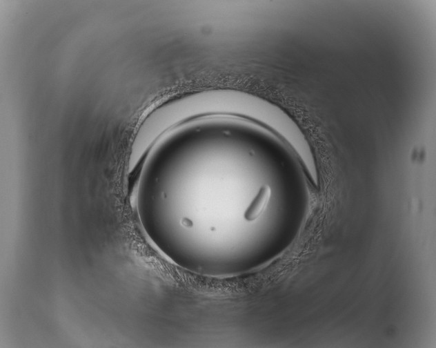 X0000112210144200908141507