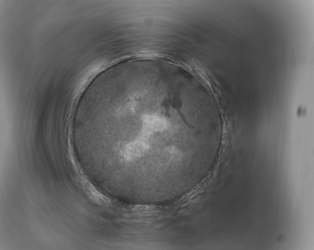 X0000112210145200908141506