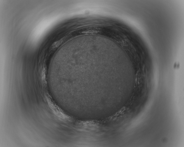 X0000112210146200908141506