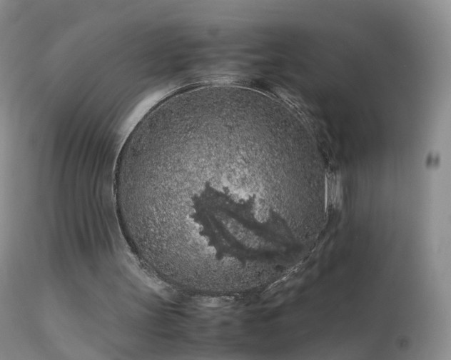 X0000112210147200908141506