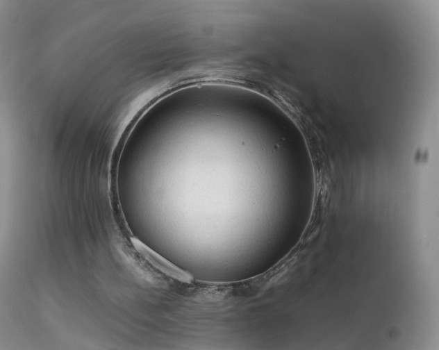 X0000112210148200908141506