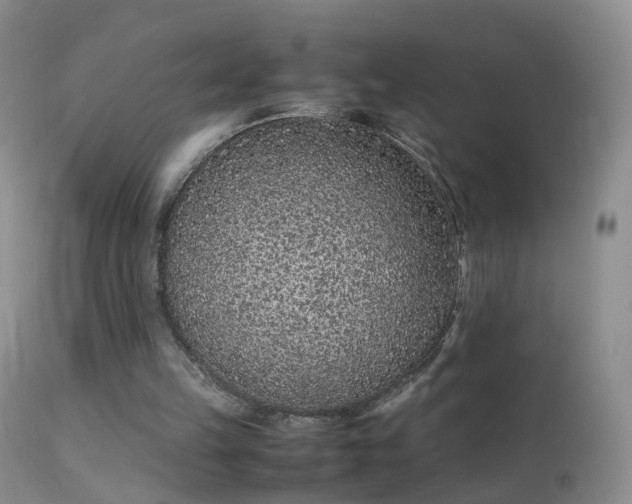 X0000112210149200908141506