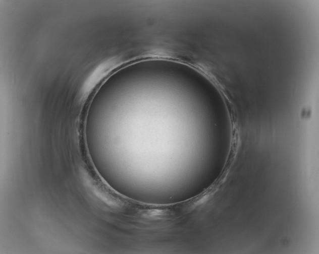 X0000112210151200908141506