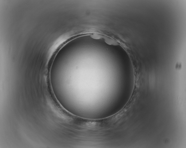 X0000112210152200908141506