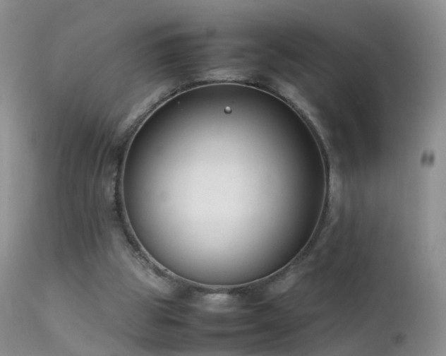 X0000112210153200908141506