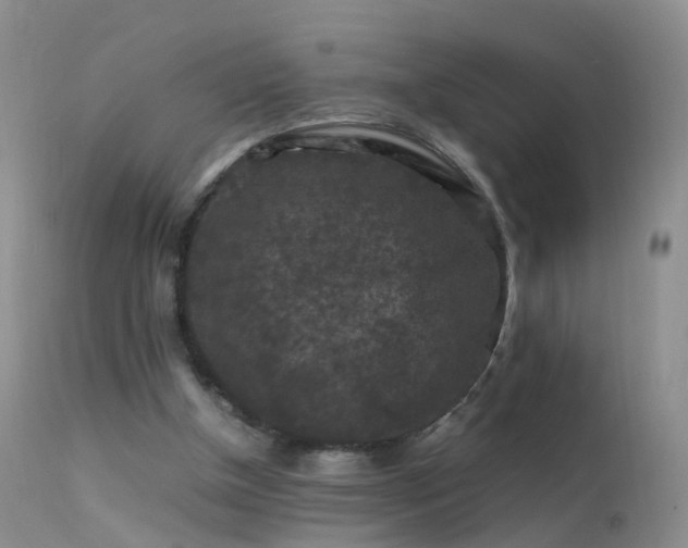 X0000112210154200908141506