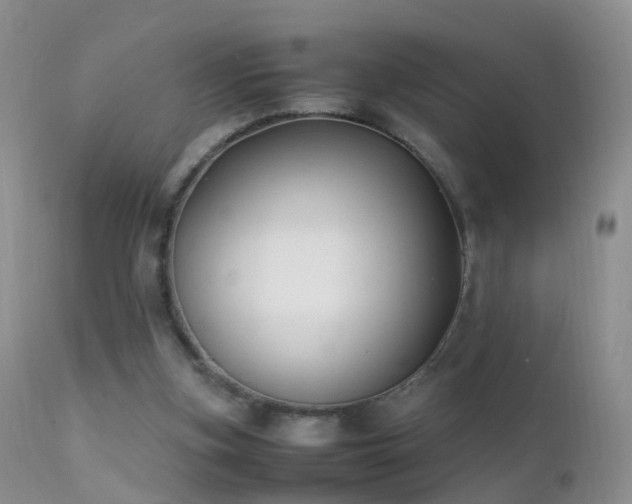 X0000112210155200908141506