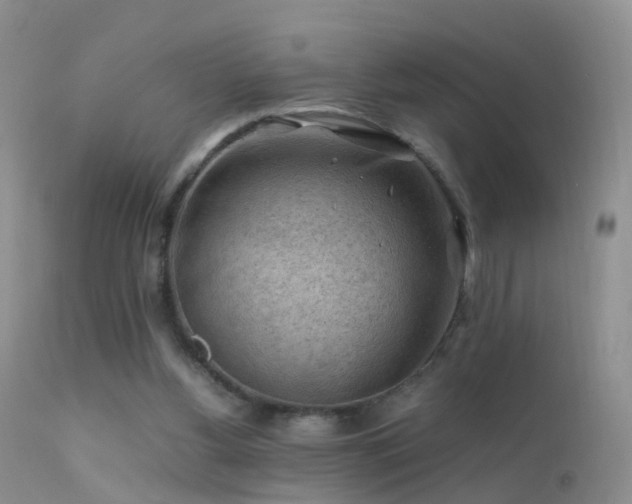 X0000112210156200908141506