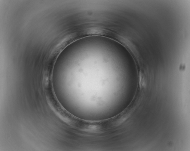 X0000112210157200908141506