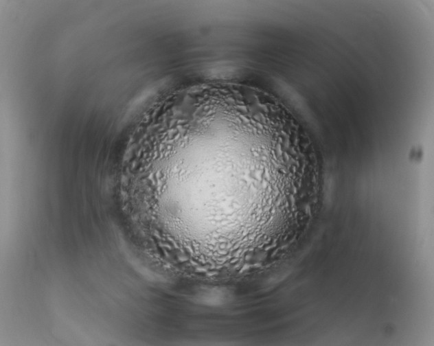 X0000112210161200908141506