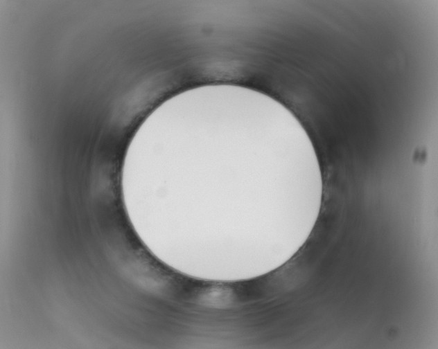 X0000112210162200908141506