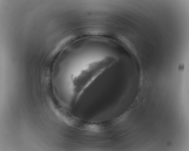 X0000112210163200908141506