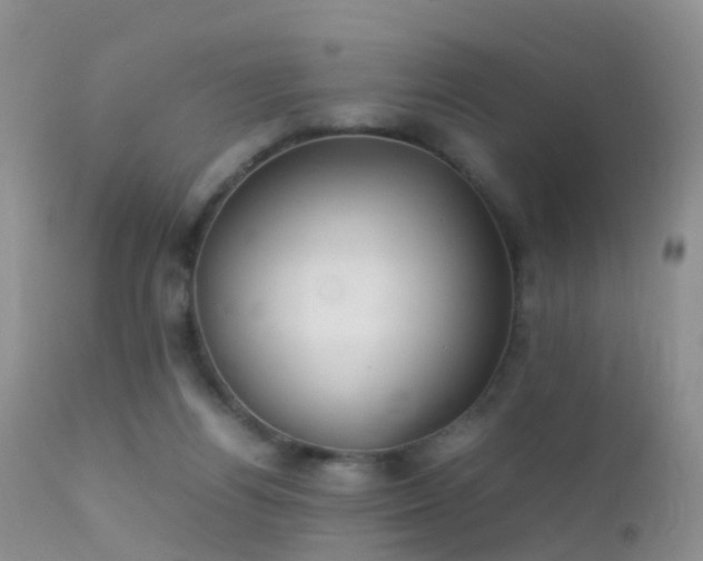 X0000112210164200908141506