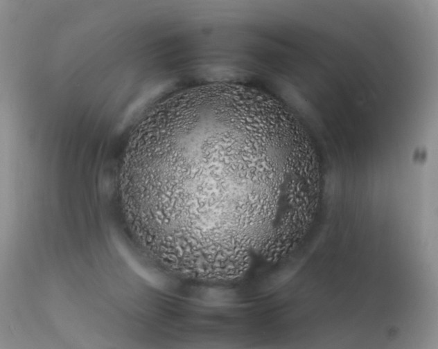 X0000112210165200908141506