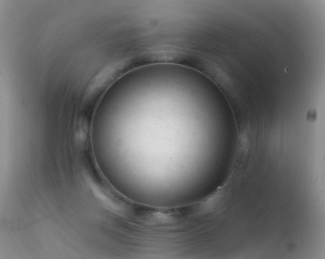 X0000112210166200908141506