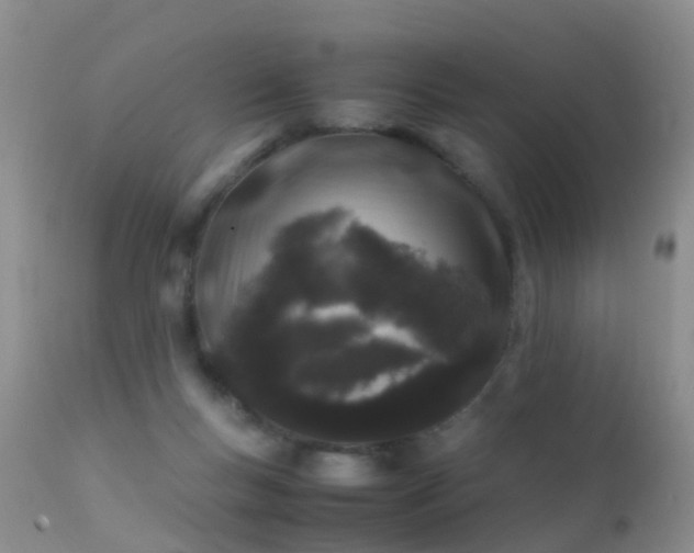 X0000112210167200908141506