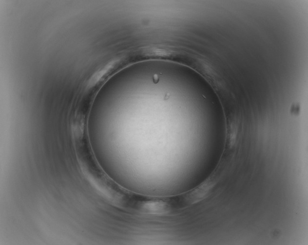 X0000112210168200908141506