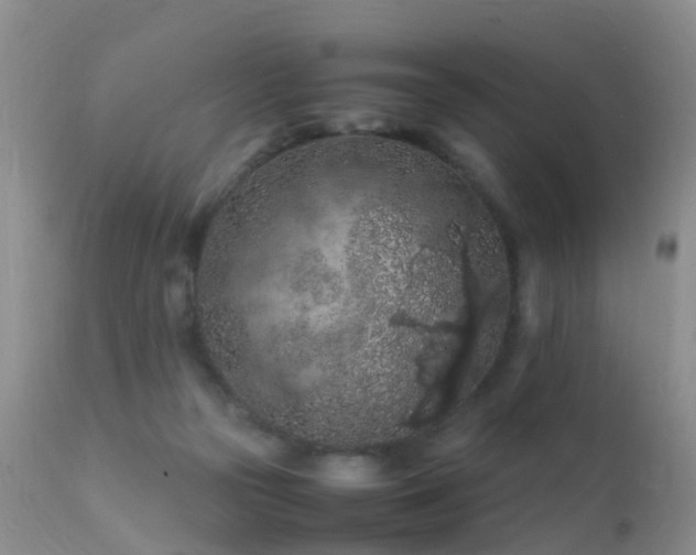 X0000112210169200908141506