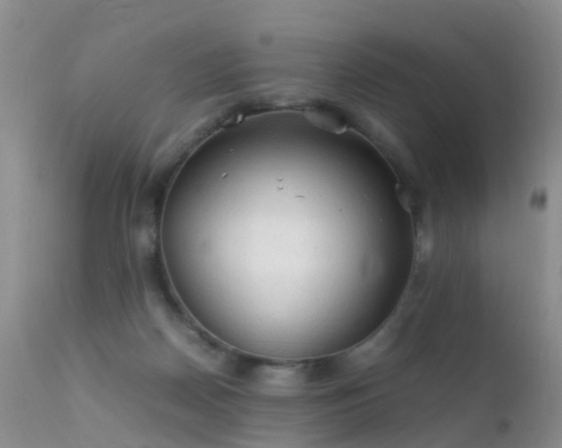 X0000112210170200908141506