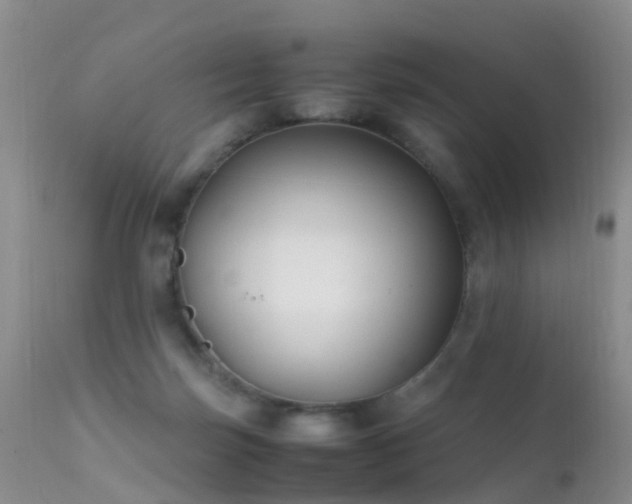 X0000112210171200908141506