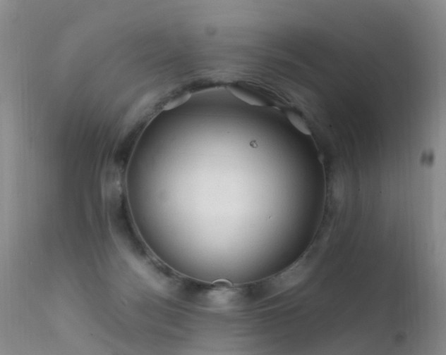 X0000112210172200908141506