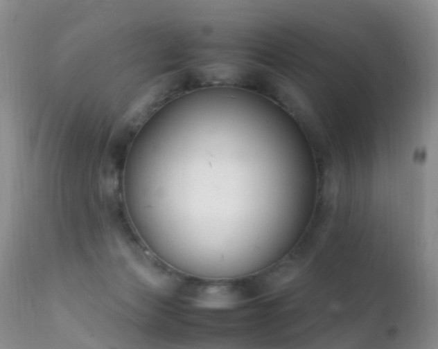 X0000112210173200908141507