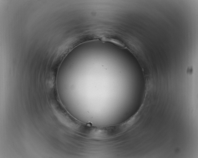 X0000112210174200908141507