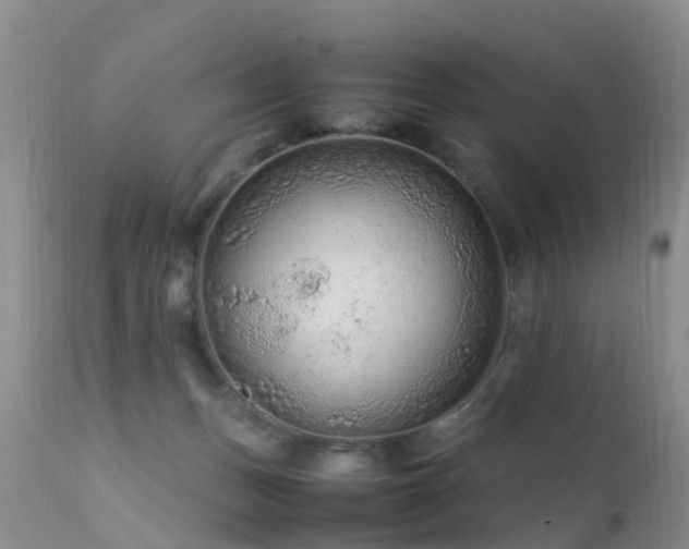 X0000112210175200908141507