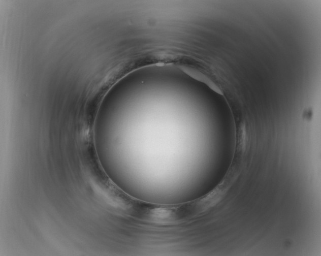 X0000112210176200908141507