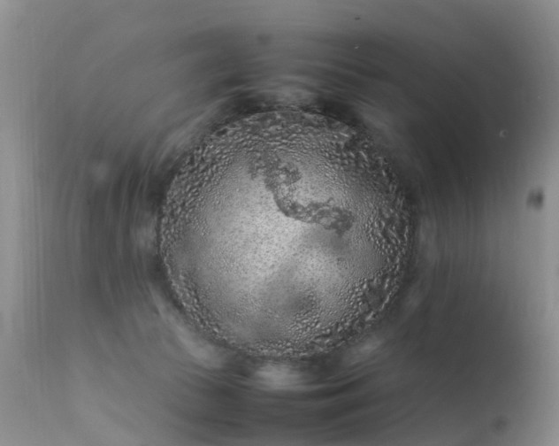 X0000112210177200908141507