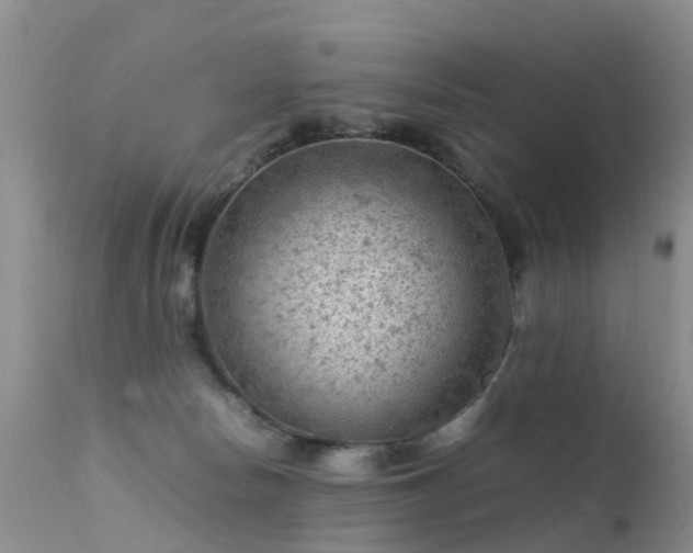 X0000112210178200908141507