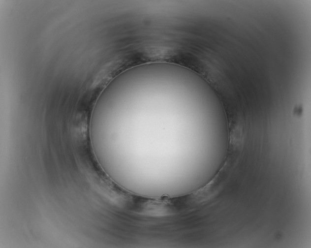 X0000112210179200908141507