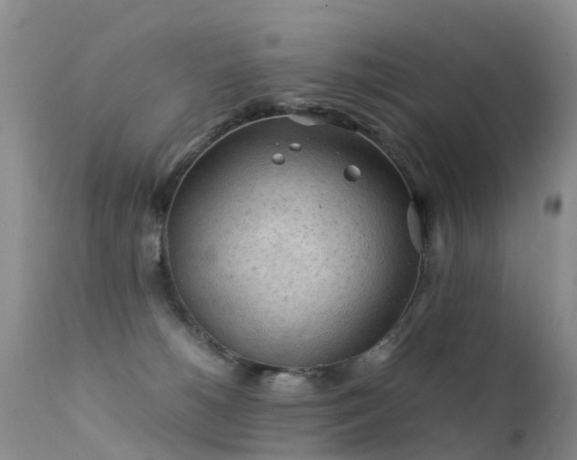 X0000112210180200908141507