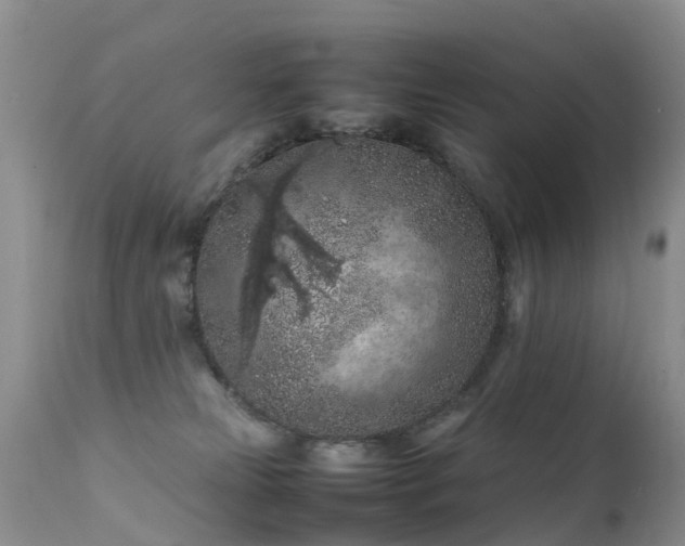 X0000112210181200908141507