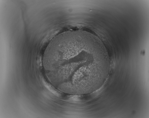 X0000112210182200908141507