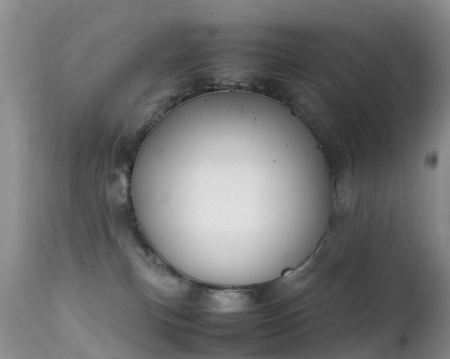 X0000112210183200908141507